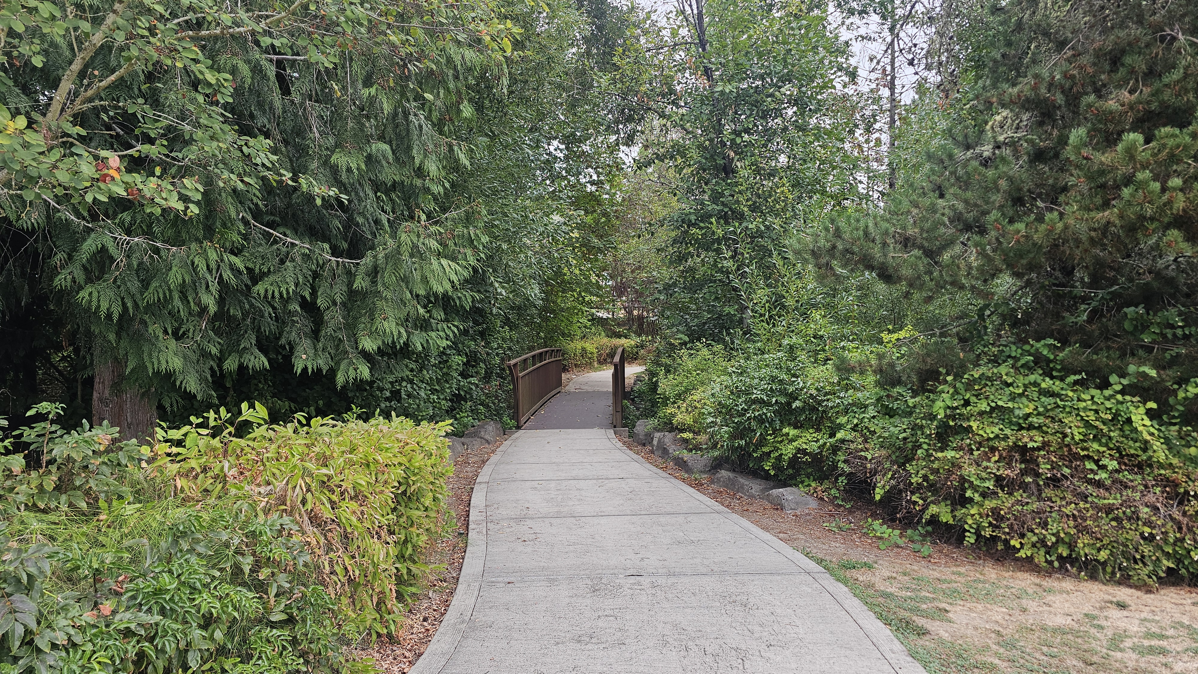 A Guide to Bethany's Best Parks: From Playgrounds to Nature Trails